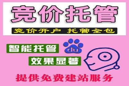 深度解析：SEM竞价优化提升ROI的案例